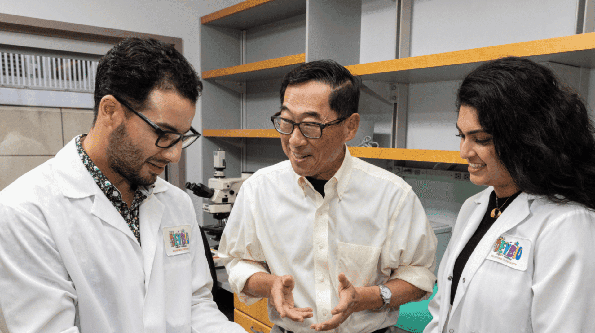 Cientistas curam diabetes tipo 1 em camundongos